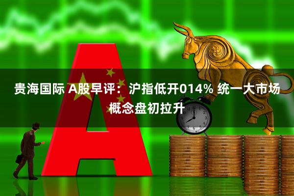 贵海国际 A股早评：沪指低开014% 统一大市场概念盘初拉升